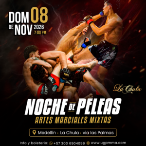 post oficial lda38